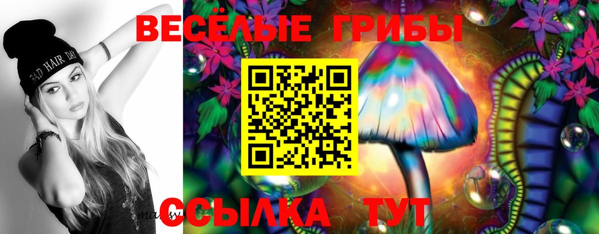 Псилоцибиновые грибы GOLDEN TEACHER Воскресенск